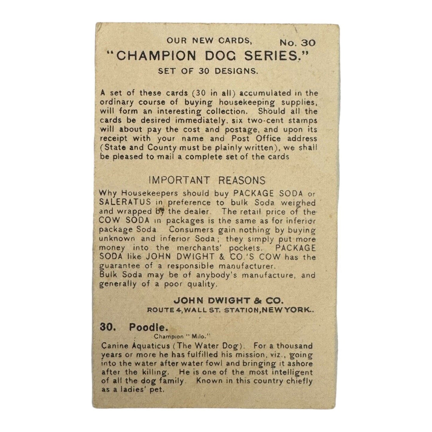 1902 Dwight's Soda Champion Dog Series Trade Card No 30 Poodle Champion