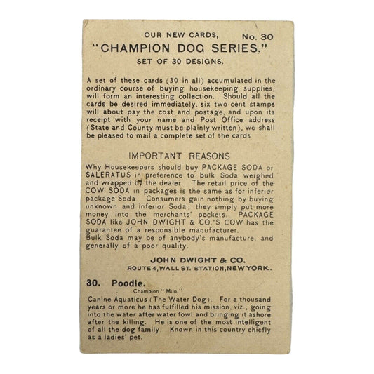 1902 Dwight's Soda Champion Dog Series Trade Card No 30 Poodle Champion